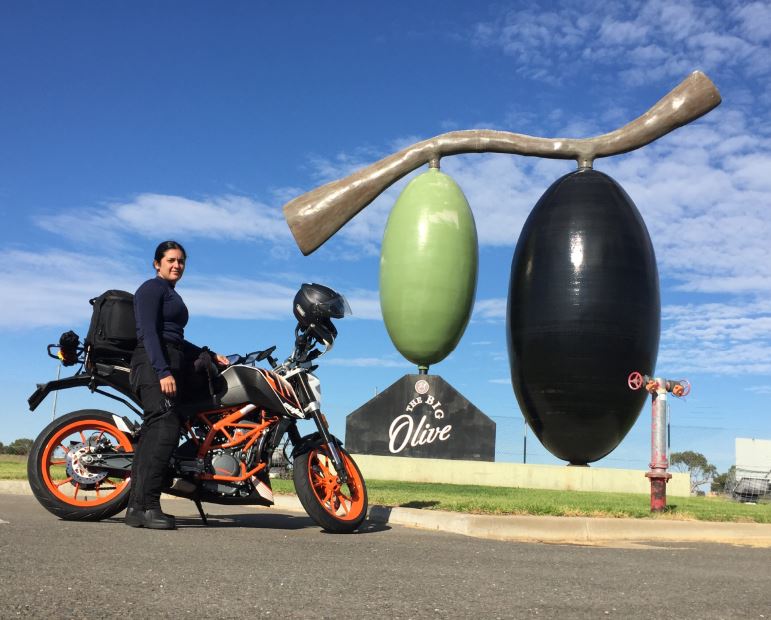 The Olives & Winery&nbsp;Country