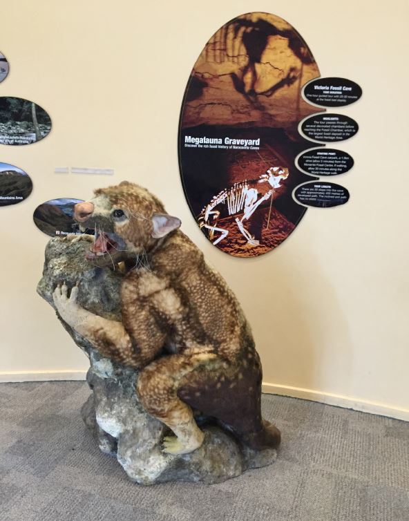 Carnivorous ‘Drop Bears’