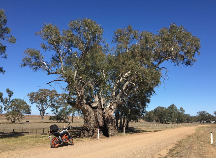 Gold Rush steeped in&nbsp;history