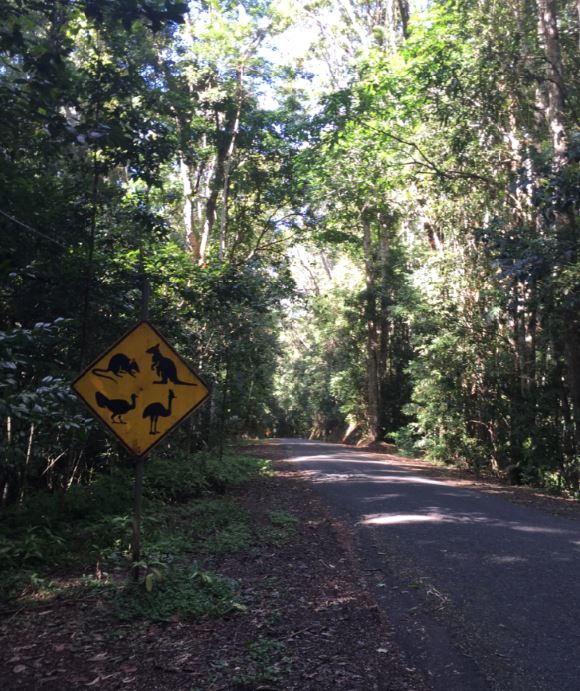 A Tropical reconnaissance&nbsp;trip